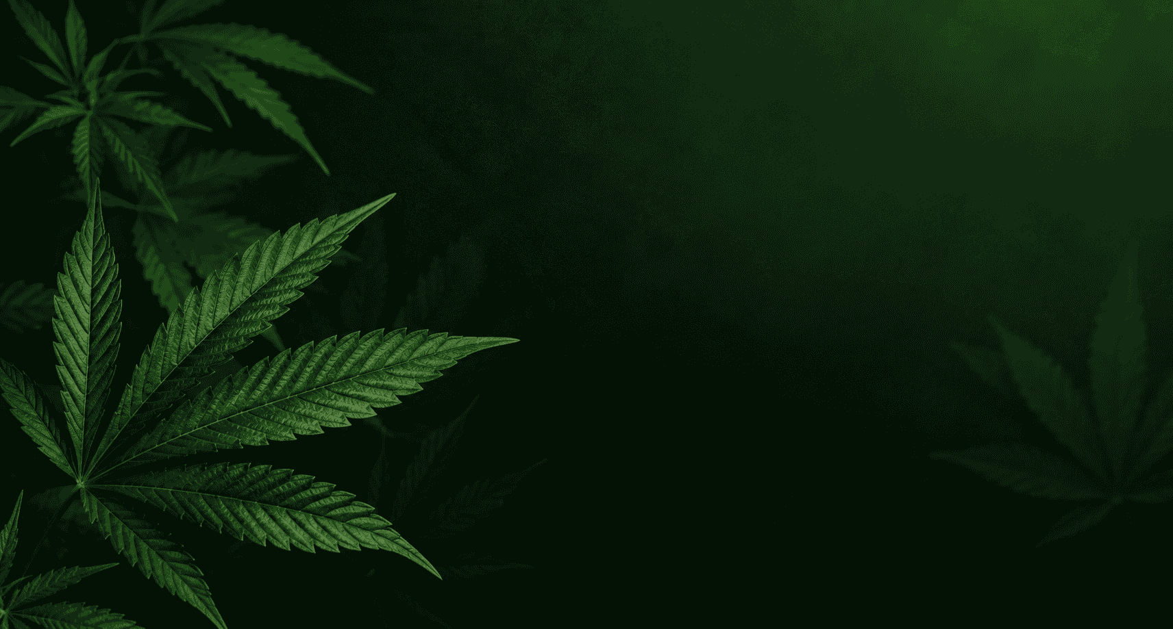 Lumen Bio Pharma