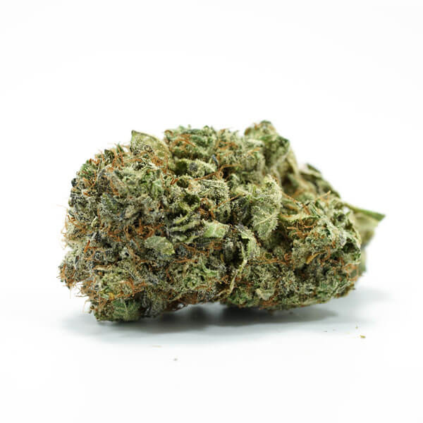 Granddaddy Purple Kush Strain